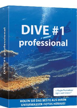 DIVE #1 professional – Unterwasserfotos optimal bearbeiten und Farbstiche beseitigen