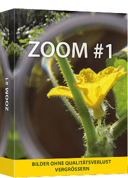 ZOOM #1 - Bilder mit Deep-Learning hochwertig skalieren